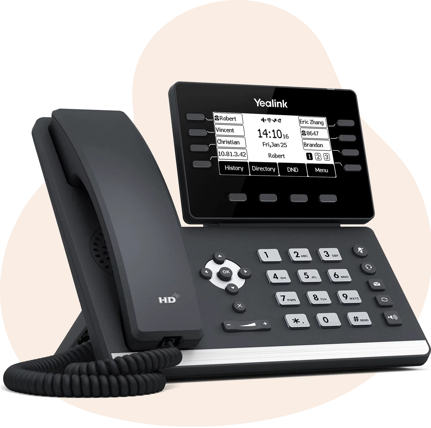 IP phone system